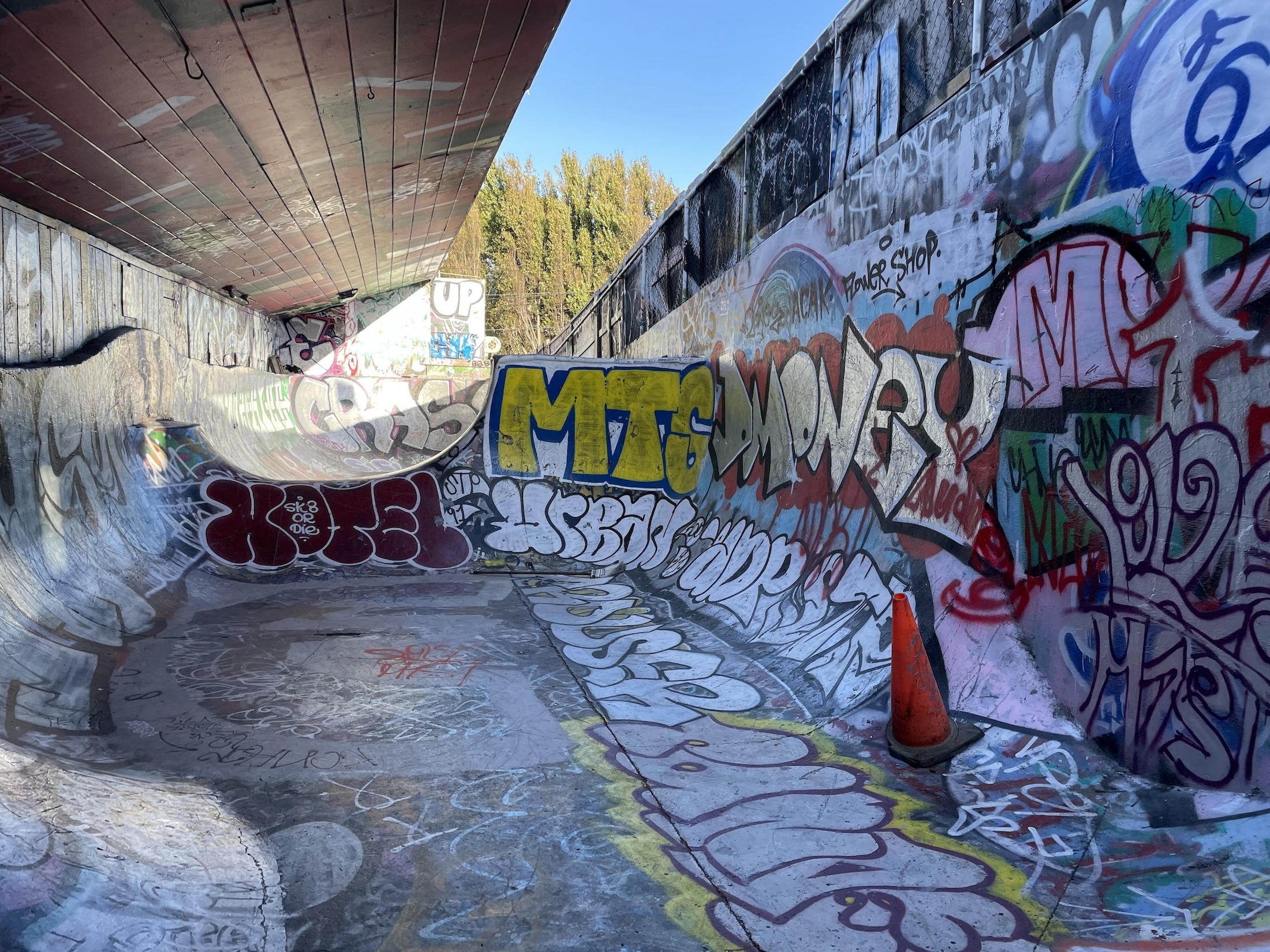 Flower shop DIY skatepark